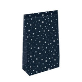 Kraft papieren zakken donkerblauw ster (L) - 5 stuks