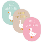 Sluitstickers hallo lieve baby - 10 stuks