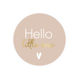 Sluitstickers hello little one - 10 stuks